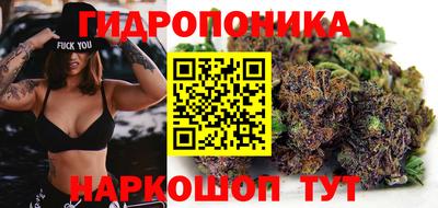 спиды Будённовск