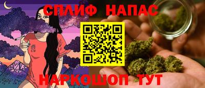 спиды Будённовск
