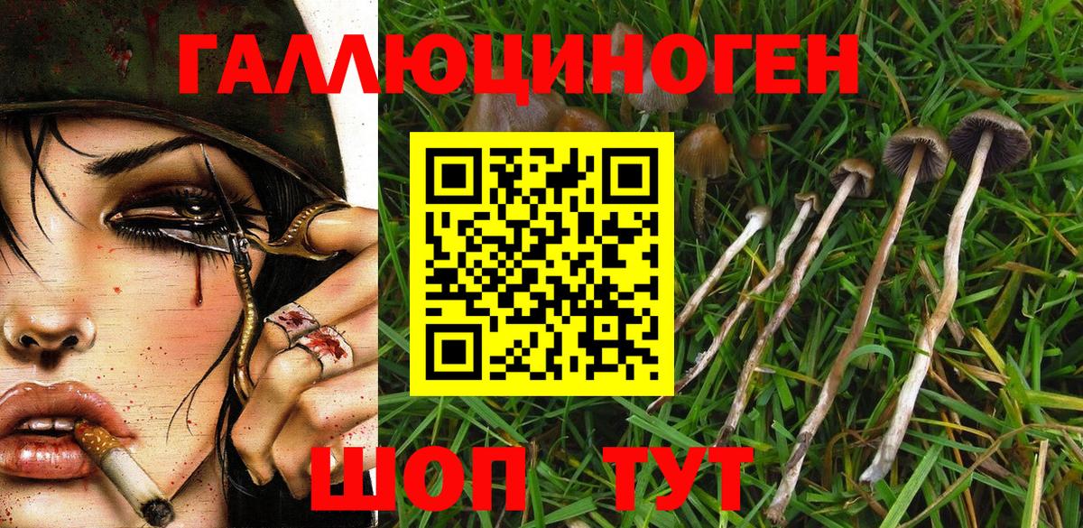 Псилоцибиновые грибы Psilocybine cubensis Миасс